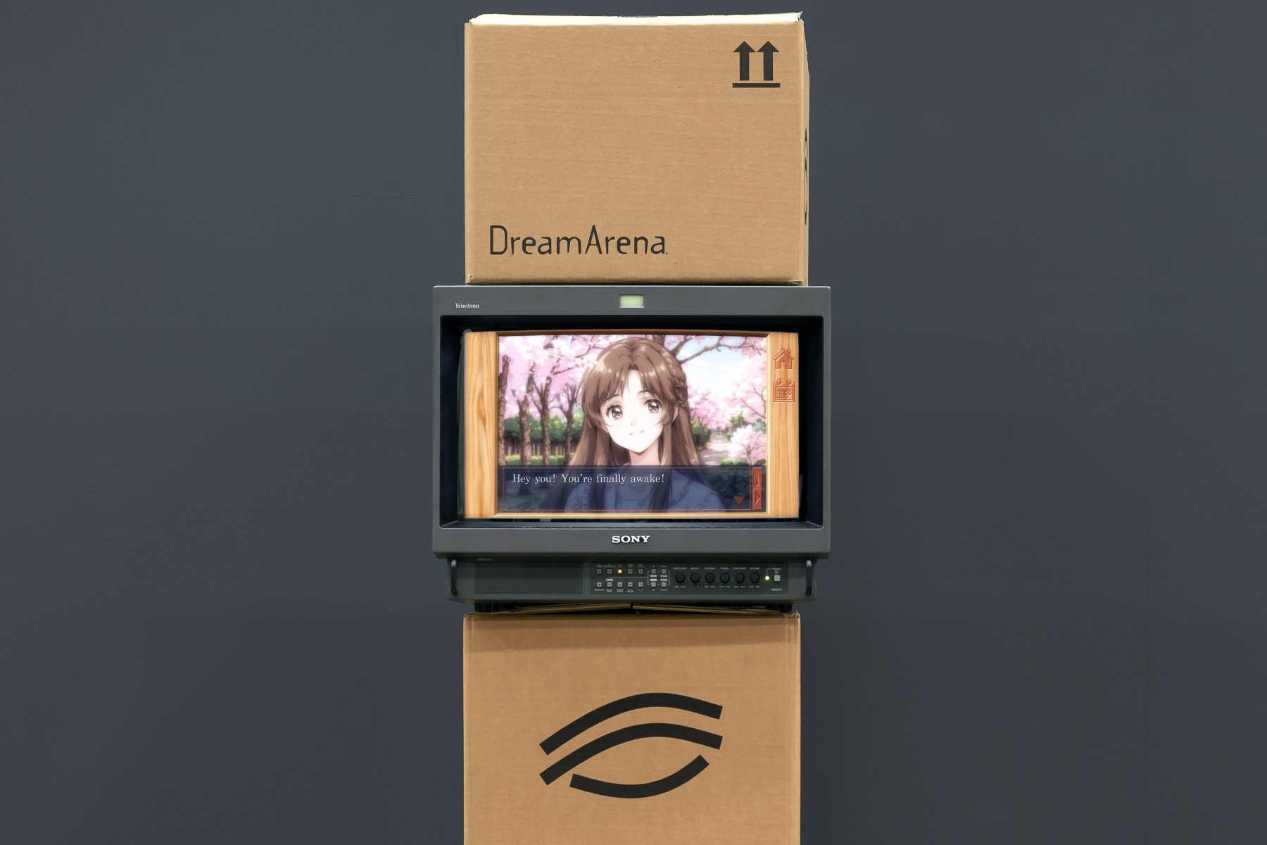 DreamArena